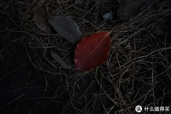 美能达镜头怎么样