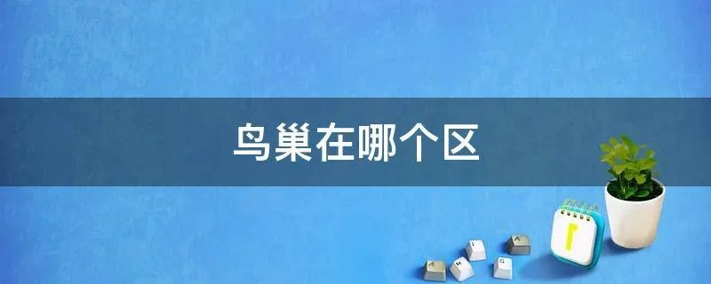 鸟巢在哪个区