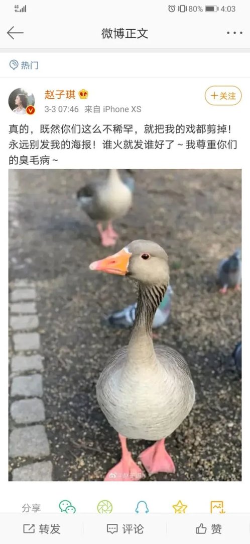 电视剧《重生》女主赵子琪开撕:作为女主没有海报。这件事你怎么看?