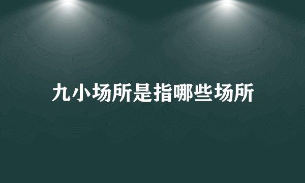 九小场所是指哪些场所