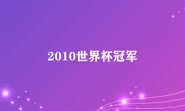 2010世界杯冠军