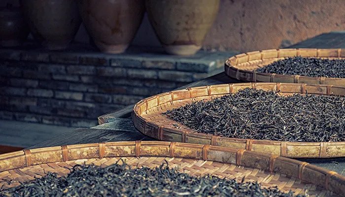 普洱茶产地