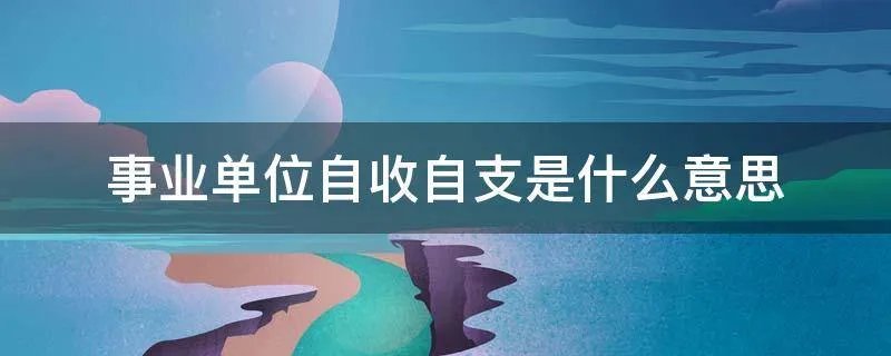事业单位自收自支是什么意思
