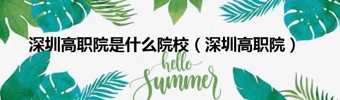 深圳高职院是什么院校(深圳高职院)