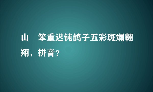 山掹笨重迟钝鸽子五彩斑斓翱翔，拼音？