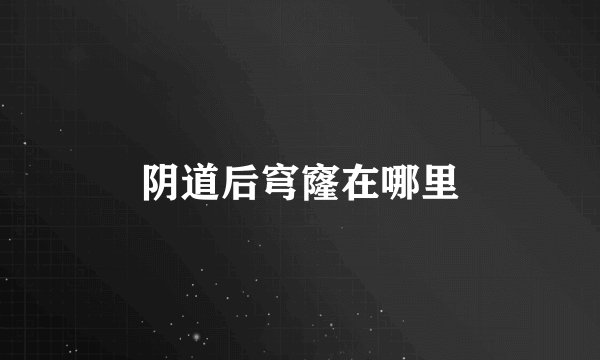 阴道后穹窿在哪里