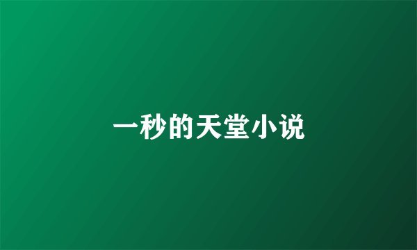 一秒的天堂小说