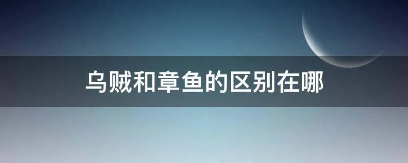 乌贼和章鱼的区别在哪