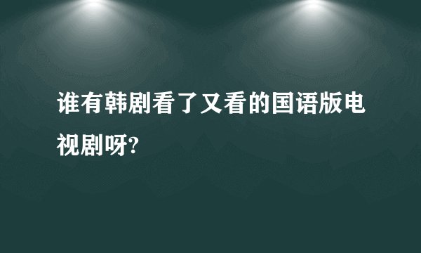 谁有韩剧看了又看的国语版电视剧呀?