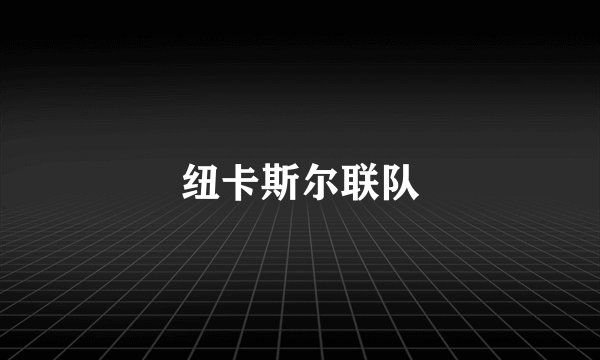 纽卡斯尔联队