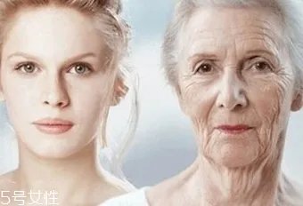3Lab什么牌子?3Lab是哪个国家的?