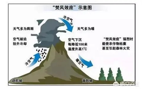经常听到美国加州大火,烧一个多星期都灭不了,而中国怎么没有听说过有这样大火呢?