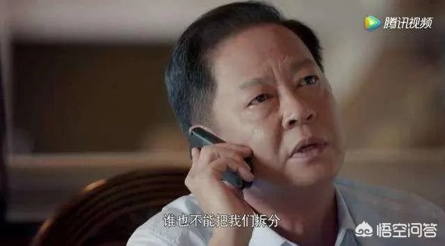 你怎么看电视剧《归去来》中王志文扮演的书望?