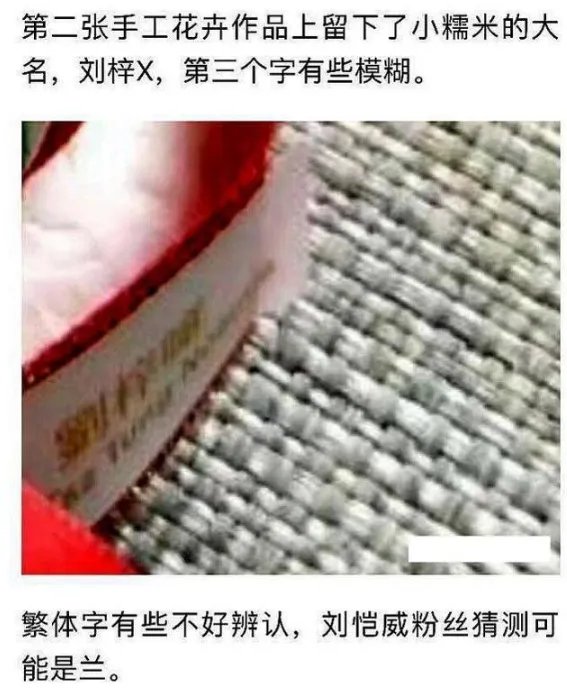 杨幂女儿照片小糯米真名
