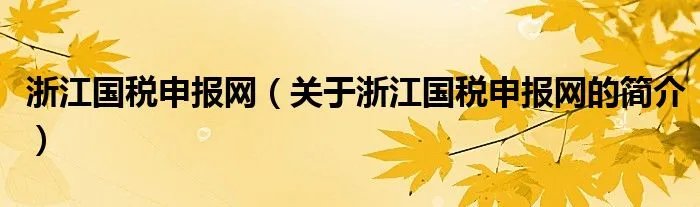 浙江国税申报网（关于浙江国税申报网的简介）