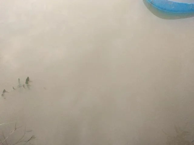 雨后池塘水浑浊怎么处理?