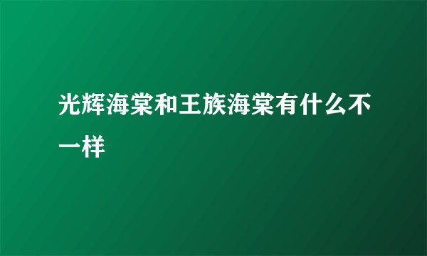 光辉海棠和王族海棠有什么不一样