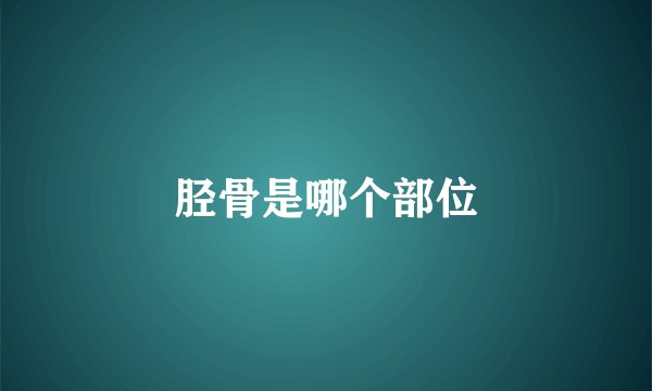 胫骨是哪个部位