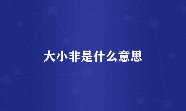 大小非是什么意思