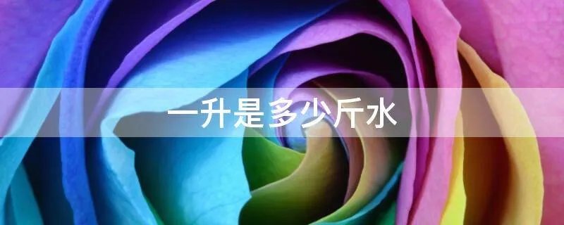 一升是多少斤水