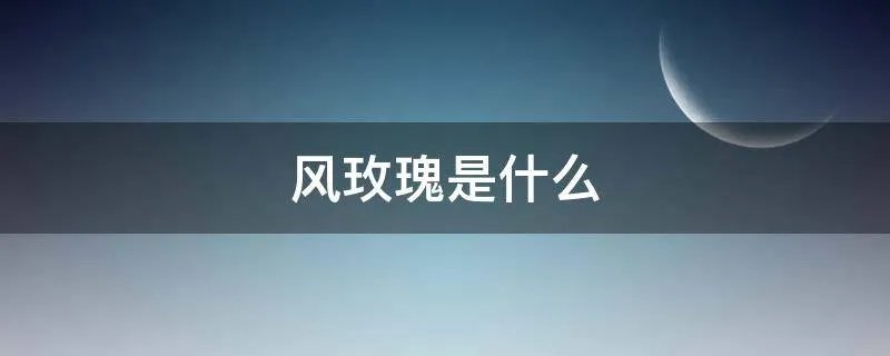 风玫瑰是什么