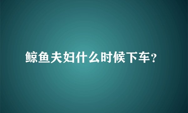 鲸鱼夫妇什么时候下车？
