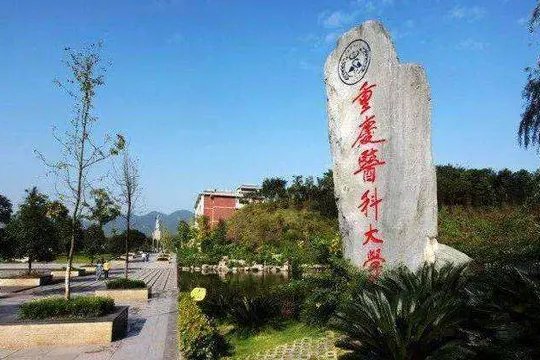 重庆医科大学怎么样?