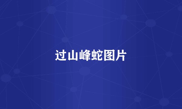 过山峰蛇图片