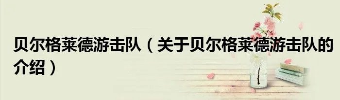 贝尔格莱德游击队（关于贝尔格莱德游击队的介绍）