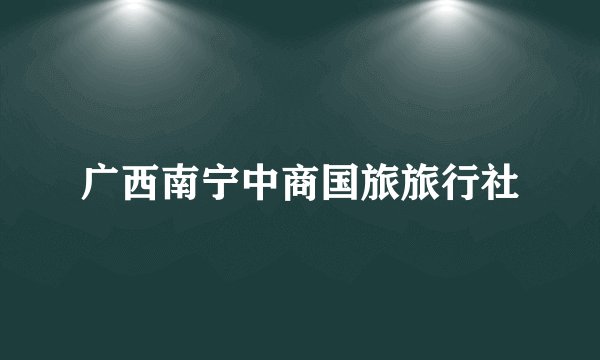 广西南宁中商国旅旅行社