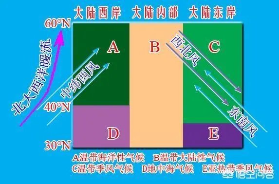 河北暴雨最新