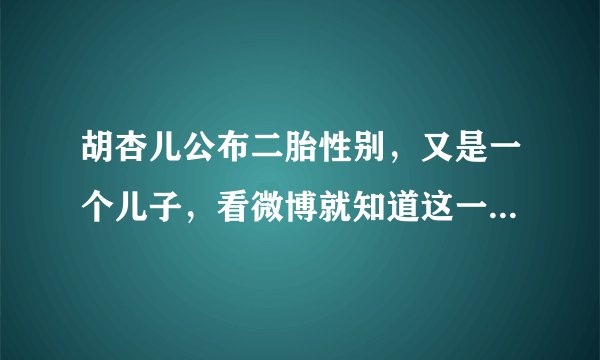 胡杏儿公布二胎性别,又是一个儿子,看微博就知道这一家太幸福了