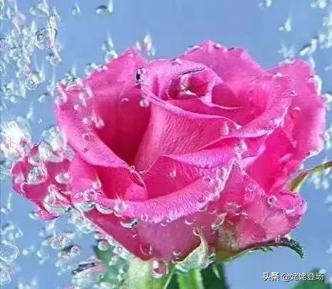我曾经错过了一个很好很好的女孩,以后再也见不到了,该怎么办?