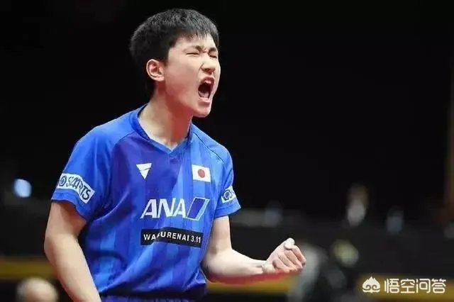 樊振东4:1逆转张本智和晋级2019年亚洲杯男单决赛,如何评价本场比赛双方的表现?