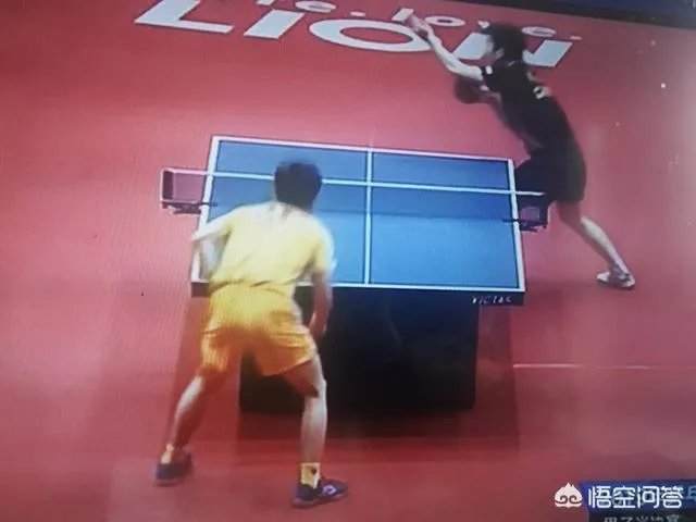 樊振东4:1逆转张本智和晋级2019年亚洲杯男单决赛,如何评价本场比赛双方的表现?