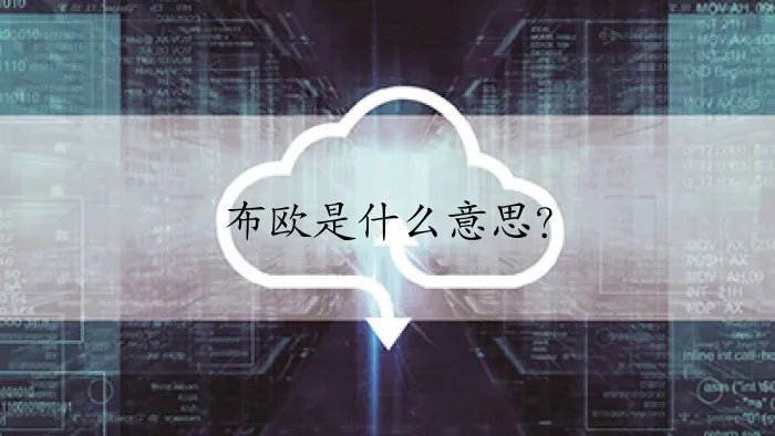 布欧是什么意思？