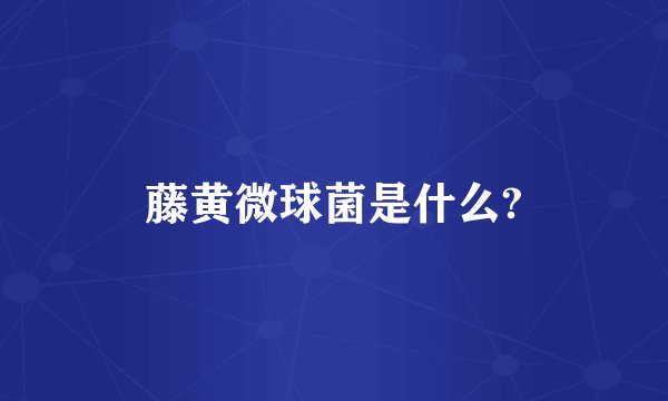 藤黄微球菌是什么?