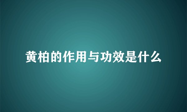黄柏的作用与功效是什么