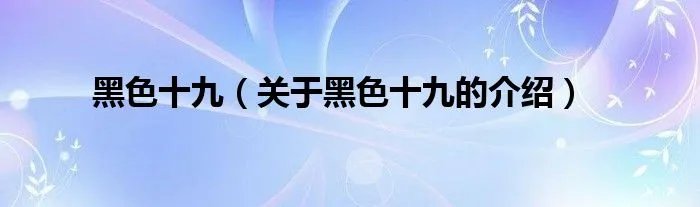 黑色十九（关于黑色十九的介绍）