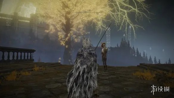 《艾尔登法环》柯林支线任务流程详解 柯林在哪里?