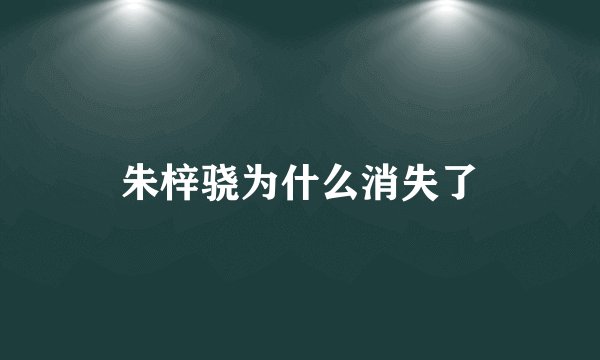 朱梓骁为什么消失了
