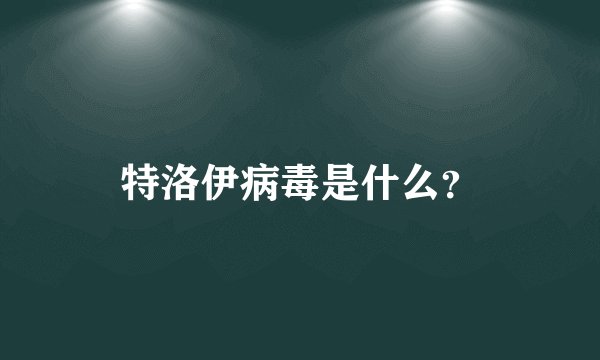 特洛伊病毒是什么？