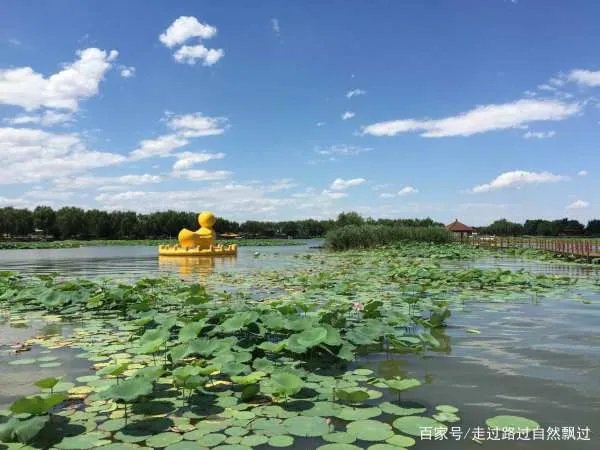 保定景区,十大排名是怎样得?