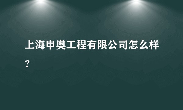 上海申奥工程有限公司怎么样？