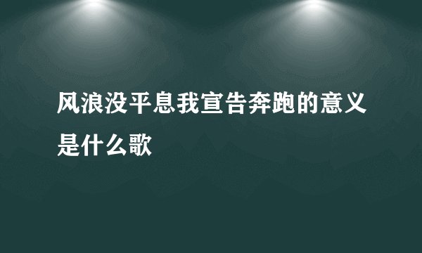 风浪没平息我宣告奔跑的意义是什么歌