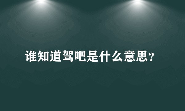 谁知道驾吧是什么意思？