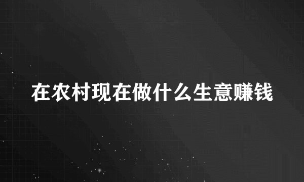 在农村现在做什么生意赚钱