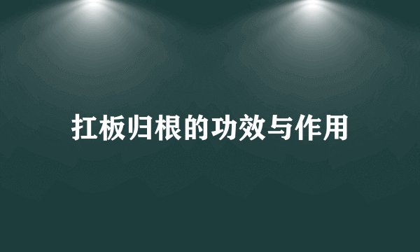 扛板归根的功效与作用