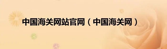 中国海关网站官网(中国海关网)