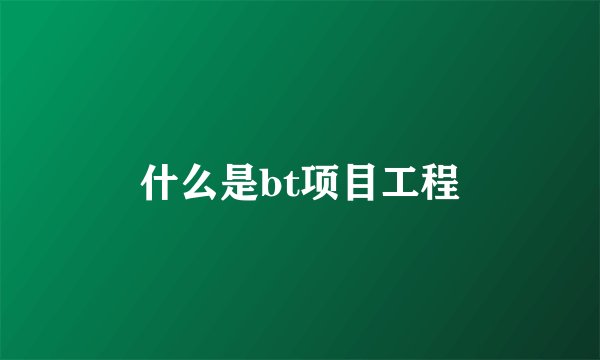 什么是bt项目工程